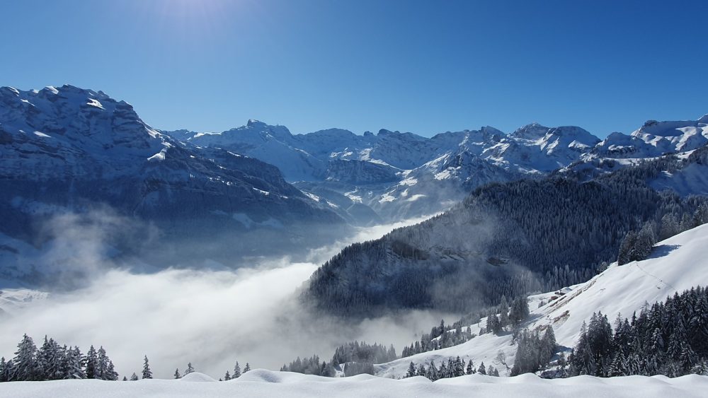 Wintertag 2025 auf Wirzweli
